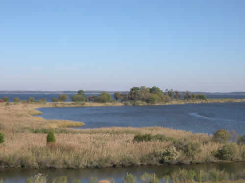 Chesapeake Tidal Wetlands at Stream Management from www.riverscientist.com
