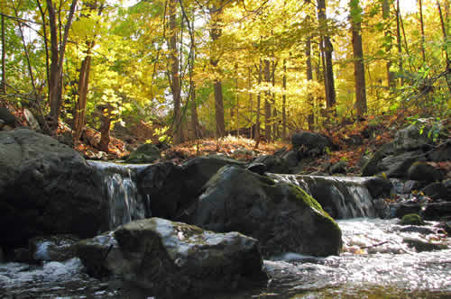 Stream Restoration: Mountain Stream at www.riverscientist.com
